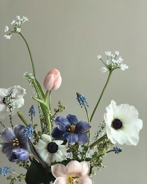 Rachel : florist & teacher on Instagram: “Lovely centerpiece with such lovely ingredients 🤍 #coveredcenterpiece #muscari #allium #anemone #spireathunbergii #peachtulip…” Anemone Wedding Flowers, Anemone Aesthetic, Anemone Bridesmaid Bouquet, Flowers Aesthetic Bouquets, Anemone Flower Wedding, Anemone Flower Bouquet, Anemones Bouquet, Anemone Centerpiece, November Aesthetic