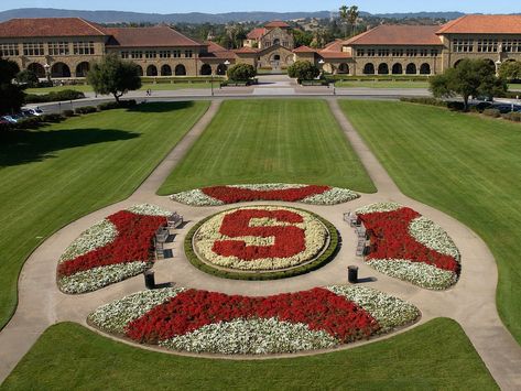 The 50 Most Beautiful College Campuses in America | Condé Nast Traveler Stanford University Campus, University Inspiration, College Tour, Block Chain, Dream College, Top Colleges, Dream School, College Campus, University Campus