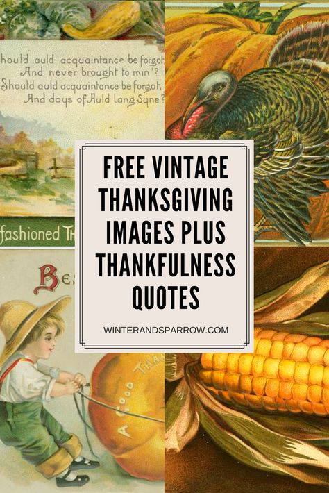 Thanksgiving Images Autumn, Thanksgiving Images Give Thanks, Thanksgiving Images Free, Thanksgiving Vintage, Vintage Fall Printables Free, Thanksgiving Images Clip Art, Vintage Thanksgiving Images, Free Vintage Printables Public Domain, Vintage Fall Images