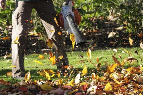 Autumn Checklist, Yard Cleanup, Fall Clean Up, Lawn Care Tips, Leaf Blowers, Gravel Path, Bob Vila, Small Ponds, Autumn Garden