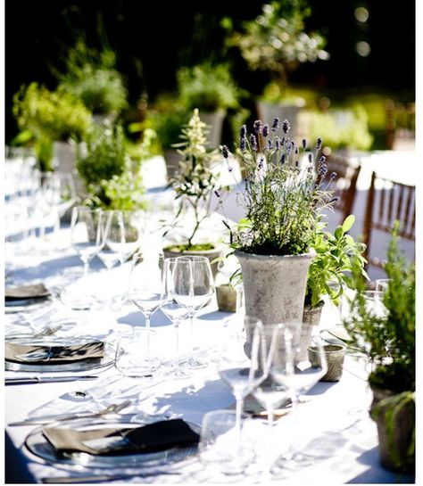 Herb centerpieces on the tables - they can double as take-home favors Herb Centerpieces, Creative Wedding Centerpieces, Potted Herbs, Flowers In Vases, Centerpieces Floral, Colin Cowie, Creative Centerpieces, White Linens, Wedding Floral Centerpieces