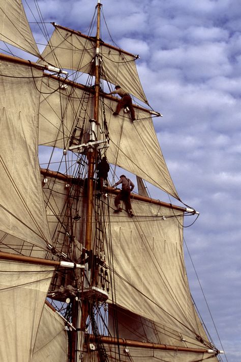 https://flic.kr/p/dKM4fS | Crew in rigging of tall ship | Sailors in rigging of the Brig Pilgrim during a reenactment of 18th century sailing techniques. Tall Ships Art, Ship Tattoo Sleeves, Tall Ship Model, Freetime Activities, Nautical Aesthetic, Navi A Vela, Sea Shanties, Old Sailing Ships, Kayak Camping