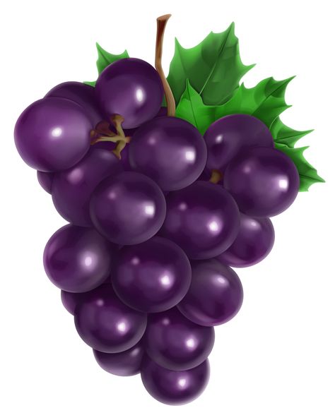 Grape clip art vector grape graphics image - Clip Art Library Purple Png, Grape Painting, Fruit Clipart, Purple Fruit, Clip Art Library, Food Clipart, Meteor Garden 2018, Fruit Photography, Smitten Kitchen