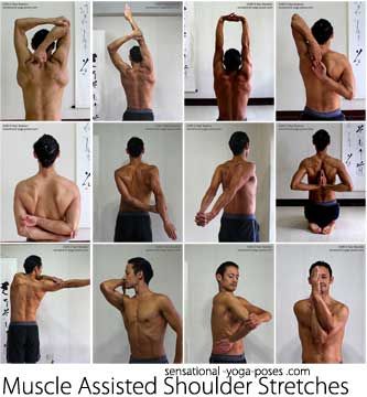 muscle assisted shoulder stretches: tricep stretch, one arm over the head, both arms over the head, cow face yoga position, grab an elbow be... Tricep Stretch, Shoulder Stretches, Arm Stretches, Yoga Positions, Shoulder Stretch, Mobility Exercises, Yoga Exercises, Easy Yoga Workouts, Stretching Exercises