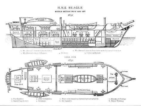 The Voyage of the Beagle | Darwin Correspondence Project Strait Of Magellan, Hms Beagle, Master And Commander, Ship Map, Model Ship Building, Ship Design, Deck Plans, Charles Darwin, Tall Ships