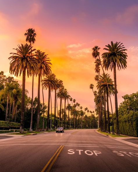 Serge Ramelli on Instagram: “I like Los Angeles, this is a street in beverly hills, I was looking for a street with no cars and toward the west. What would you like to…” Beverly Hills Hotel Wallpaper, Los Angeles Wallpaper, Los Angeles Aesthetic, Los Angeles Travel, California Vibe, Now Or Never, Beverly Hills Hotel, The American Dream, City Of Angels