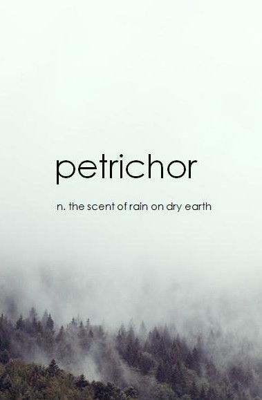 I love the smell of rain Rain Quotes, Weather Quotes, Foreign Words, Unique Words Definitions, Uncommon Words, One Word Quotes, Weird Words, Unusual Words, Rare Words