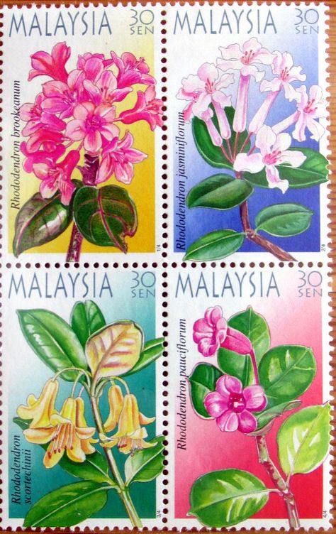 Malaysia 2014. flower. Malaysian Flowers, Typography Moodboard, Malaysia Flower, Japan Flower, Collage Pictures, Post Stamps, Emoji Stickers, Post Stamp, Postal Stamps