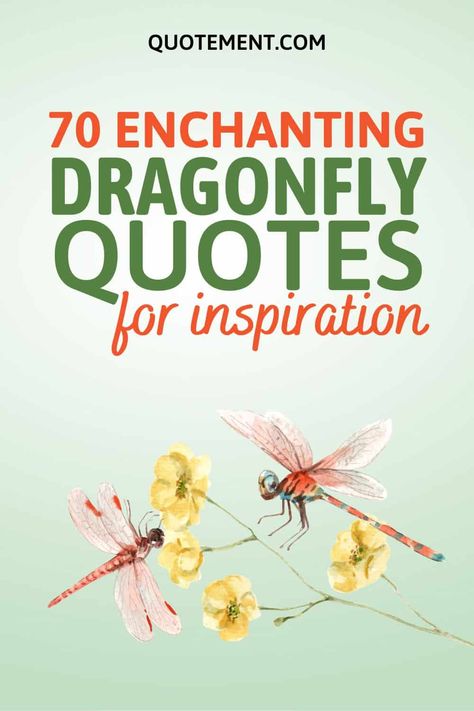 70 Enchanting Dragonfly Quotes For Wisdom And Inspiration Dragon Fly Quotes Inspiration, Dragonfly Sayings Quotes, Dragonfly Quotes Inspiration Sayings, Dragonfly Quotes Inspiration, Dragon Fly Crafts, Dragonflies Quotes, Dragonfly Poems, Dragonfly Sayings, Dragonfly Poem