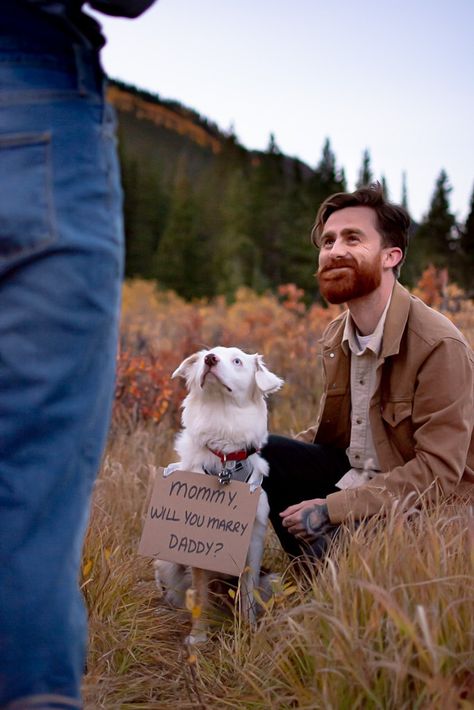 Cute Private Proposal, Christmas Time Proposal Ideas, Easter Proposal Ideas, Proposal With Dog Ideas, Cheap Proposal Ideas Engagement, Proposal Ideas With Pictures, Proposal Surprise, Campfire Proposal, Adventure Proposal