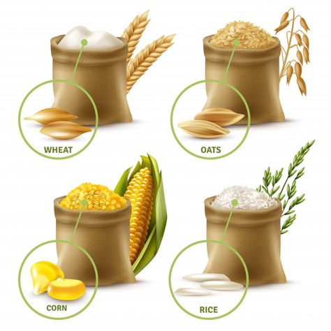 Agricultural cereals set | Free Vector #Freepik #freevector #food #leaf #packaging #bag Popcorn Seeds, Food Clipart, High Fiber Foods, Rice Grain, Grain Foods, Fiber Foods, Swot Analysis, Gluten Free Breakfasts, Maize