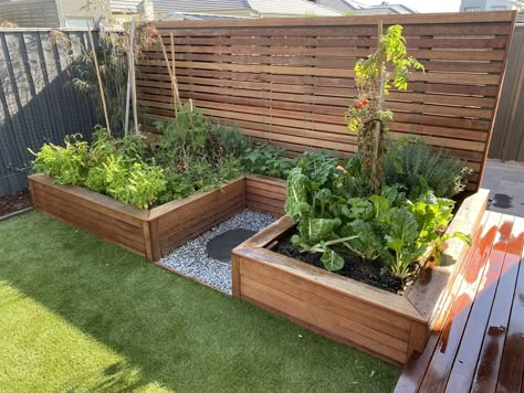 Fenced Off Vegetable Garden, Veggie Gardens Design, Raised Beds Small Garden, Timber Raised Garden Bed, Timber Garden Bed, Side Yard Raised Garden Beds, Raised Garden Bed Front Of House, Vegetable Garden Fencing, Small Raised Garden Beds Layout