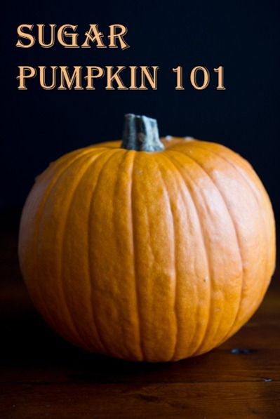 how to roast a pumpkin-4880 Oh She Glows, Fresh Pumpkin, How To Roast, Sugar Pumpkin, Pumpkin Butter, Roast Pumpkin, Canned Pumpkin, Kitchen Tips, Baking Tips