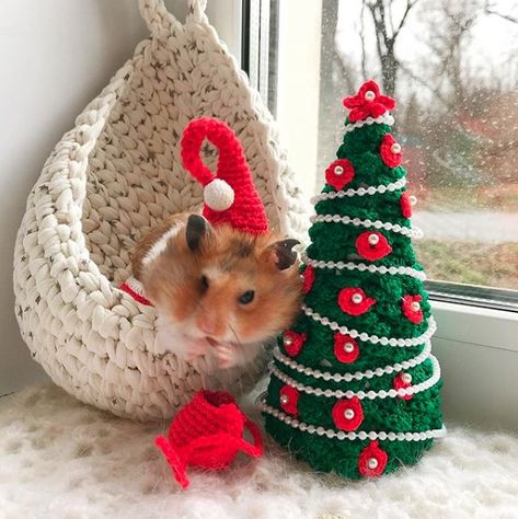 Christmas Pets, Hamster Photoshoot Ideas, Christmas Pet, Pet Hamster, Hamster Tips, Hamster Cage Christmas Decor, Hamster Clothes, Hamster Christmas, Christmas Hamster