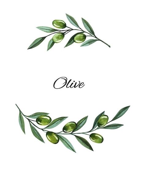 Green Olive Tattoo, Olive Branch Illustration, Olive Illustration, Olive Branch Art, Berries Illustration, Olive Tattoo, Olive Art, Fashion Invitation, Olive Branch Tattoo