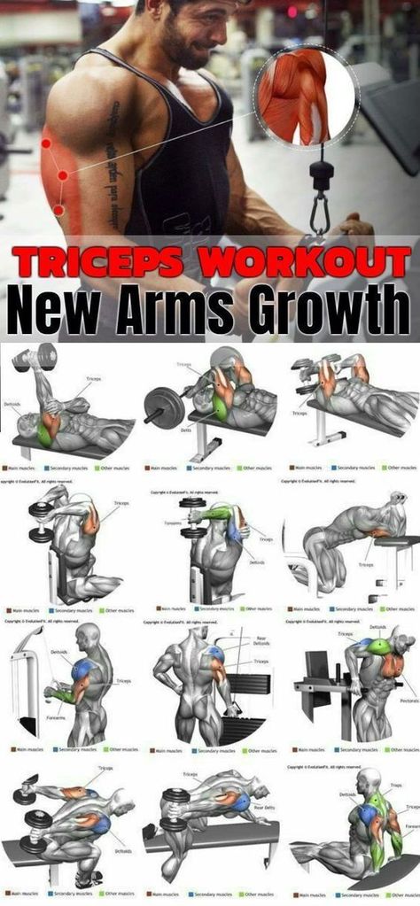 Basic Exercise, Men Exercise, Arm Training, Bicep And Tricep Workout, Body Build, Gym Antrenmanları, Dumbell Workout, Gym Workout Chart, Gym Workouts For Men