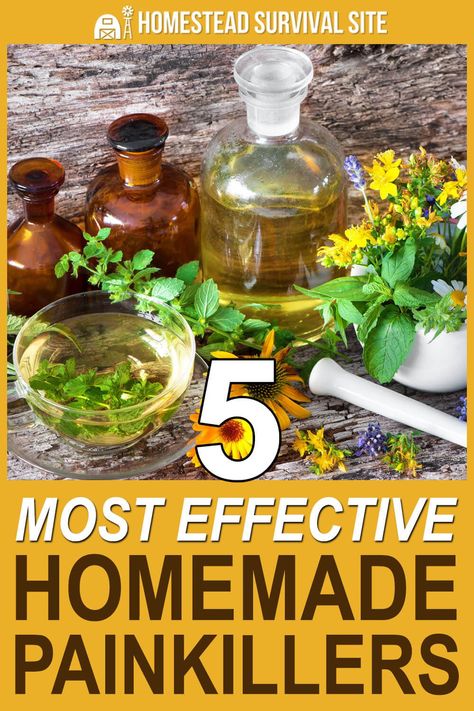 Making homemade painkillers by growing or stockpiling the necessary ingredients can help people who are sick or injured during a disaster. #homesteadsurvivalsite #homeremedies #naturalremedies #naturalmedicine #homemade Medicine Recipes, Medicinal Garden, Natural Healing Remedies, Herbs For Health, Natural Pain Relief, Homestead Survival, Homemade Remedies, Painkiller, Healing Herbs