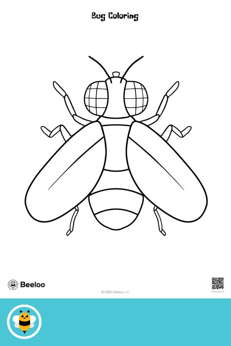 Easy insect-themed coloring page for kids ages 3 and up. Featuring: Fly, insect Activities About Insects For Preschool, Flies Drawing, Fly Craft Preschool, Drawing Insects, A Fly Drawing, Cricket Bug Drawing, Insects Drawing, Bug Outlines, Insect Drawing