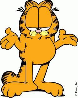 garfield, I don't know... Birthday Garfield, Garfield Quotes, Garfield Wallpaper, Garfield Pictures, Garfield The Cat, Garfield Cartoon, Garfield Cat, Garfield Comics, Garfield And Odie