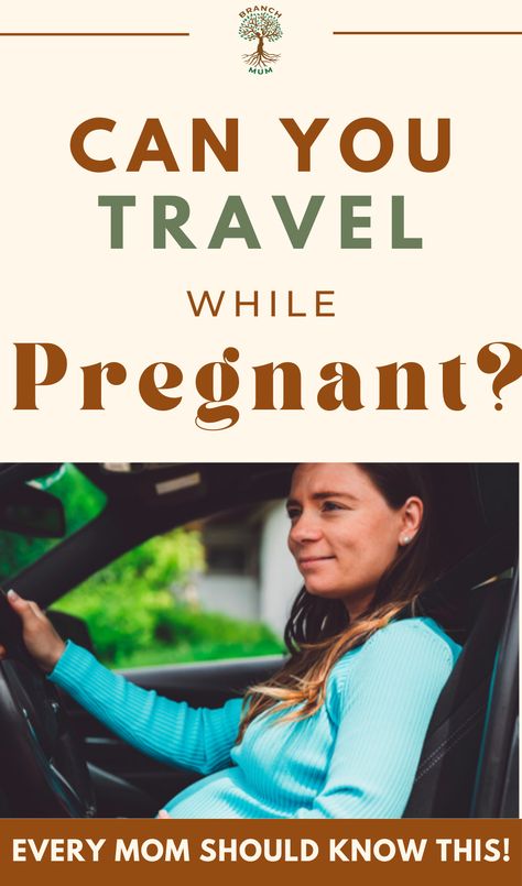 There is no simple answer to whether or not you can travel while pregnant. It depends on a variety of factors, such as your stage of pregnancy, your overall health, the country you’re travelling to, and the purpose of your trip. Read on to learn more about myths and facts during pregnancy every mom should know! Travel While Pregnant, Traveling While Pregnant, Travelling While Pregnant, Traveling Pregnant, Myths And Facts, About Pregnancy, Free Advice, Pregnancy Stages, Overall Health