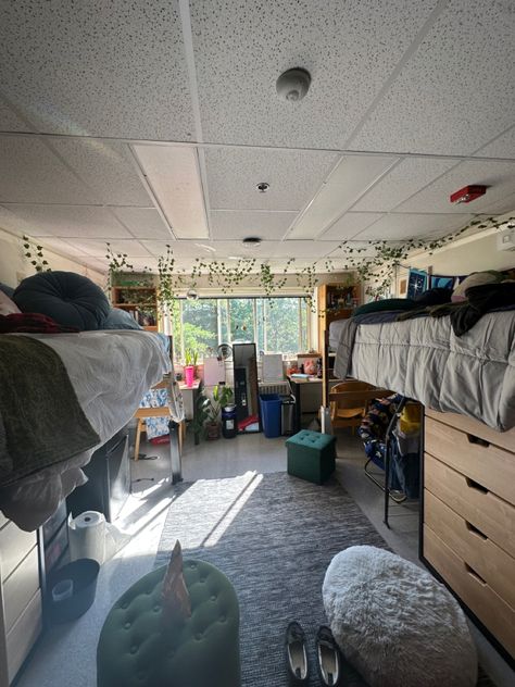 #dorminspo #dorm #hippie #dormroomideas #aesthetic @androscoggin Dorm Layout, Dream Decor, Dorm Room, Layout, Bedroom, Quick Saves, Dorm Rooms