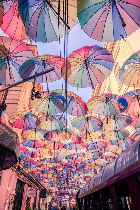 Angry People, نباتات منزلية, Colorful Umbrellas, Umbrella Art, Trik Fotografi, Photography Wallpaper, Concrete Blocks, Pretty Places, Aesthetic Iphone Wallpaper