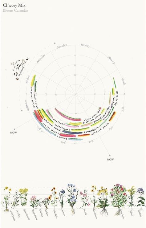 Data Mapping, Architectural Renders, Landscape Diagram, Landscape Architecture Diagram, Landscape Architecture Graphics, Architectural Graphics, Landscape And Urbanism Architecture, Urban Analysis, Urban Design Graphics