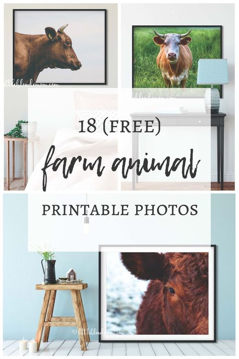 18 FREE Farm Animal Printable Photos! Great for large wall decor on a budget. Cow Decor | Horse Decor | Pig Decor | Farmhouse Decor #freeprintables #printabledecor Wall Decor On A Budget, Farm Animal Decor, Diy Pedestal, Blonde Mom, Farmhouse Printables, Farm Animals Decor, Animal Printables, Pig Decor, Cow Decor