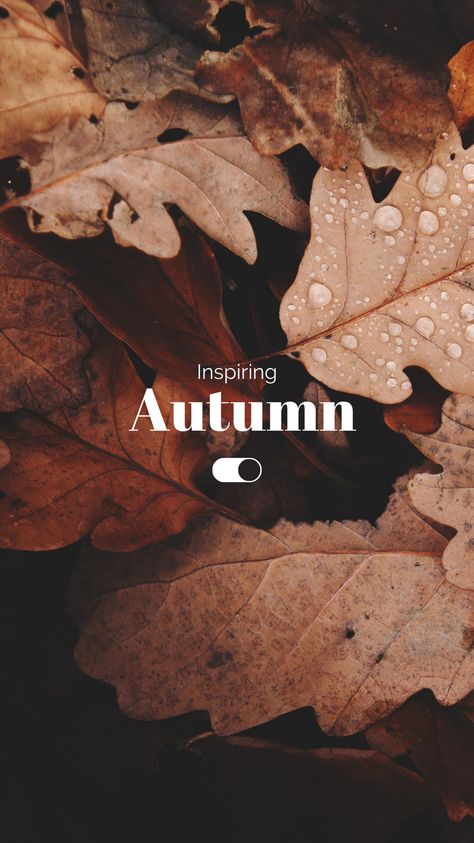 Canva Template Design by Ksuview. #Canva #Canvatemplate #Canvacreator #Canvacontributor #Canvadesign #Template Fall Iphone Inspiration, Autumn Instagram Story, November Wallpaper, Fall For Jesus, Autumn Instagram, Ag Hair Products, Cute Fall Wallpaper, Autumn Quotes, Iphone Wallpaper Photos