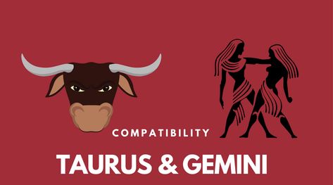 What are the chances of success of a Taurus-Gemini love match? How compatible are Taurus and Gemini emotionally and sexually – and what are their relationship strengths and challenges? For sure, there are some big differences between Taurus and Gemini due to the conflicting Earth-Air combination, Taurus Man Gemini Woman, Taurus And Gemini Compatibility, Taurus Relationships, Aries Taurus Cusp, Gemini Relationship, Taurus Compatibility, Gemini Compatibility, Gemini Love, Taurus Women