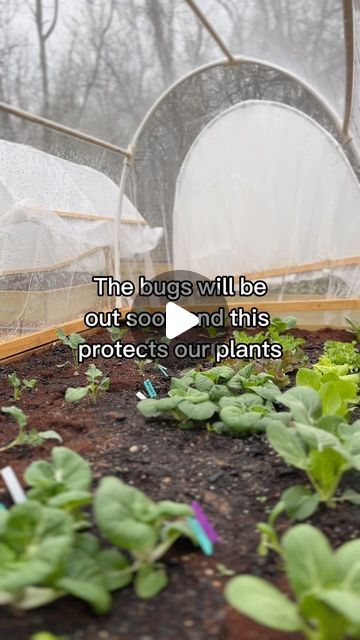 Plastic Greenhouse, Greenhouse Cover, Insect Netting, Greenhouses, Permaculture, The Garden, Insects, Seeds, Plants