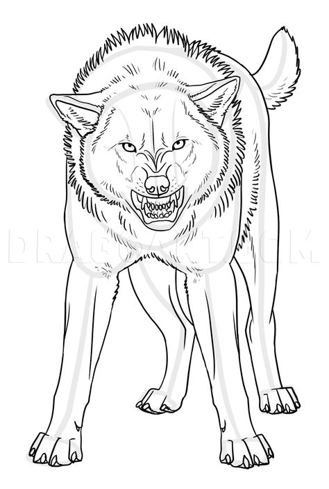 How To Draw An Angry Wolf, Step by Step, Drawing Guide, by makangeni | dragoart.com Wolf Face Drawing, Draw Wolf, Animals Sketches, Wolf Base, Snarling Wolf, Wolf Poses, Anime Wolf Drawing, Angry Wolf, Wolf Sketch