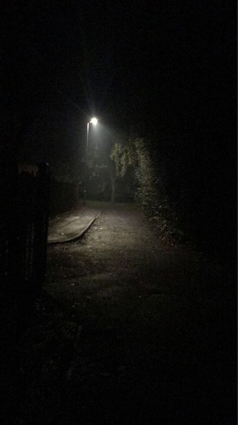 Creepy Street Night, Street Lamp Aesthetic, Sweet Venom, Dark Academia Wallpaper, Night Walks, Dark Street, Academia Wallpaper, Creepy Pictures, Horror Themes