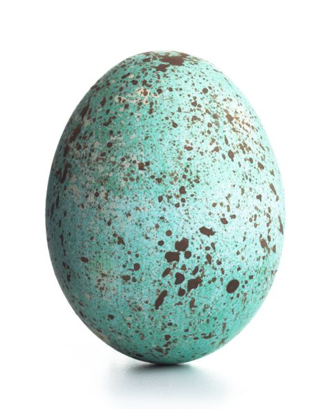 Shaving Cream Easter Eggs, Decorating Easter Eggs, Easter Egg Decorating Ideas, Easter Egg Decorations, Egg Decorating Ideas, Wabi Sabi Decor, Speckled Eggs, Easter Egg Dye, Easter Tablescapes