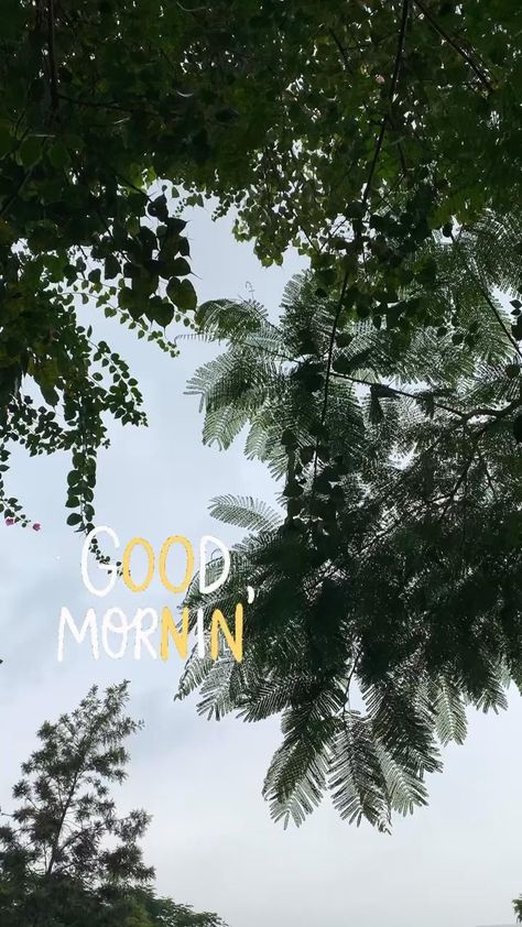 Morning Photos Instagram Story, Good Morning Sky Instagram Story, Good Morning Images Snapchat, Ig Morning Story Ideas, Morning Pics Snapchat, Morning Fake Story Instagram, Snapchat Morning Stories, Morning Photos Instagram, Morning Pictures Instagram