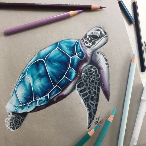 Turtle Sketch, Drawing Grid, Blue Sea Turtle, Disney Artwork, Gcse Art, Art Drawings Sketches Creative, Color Pencil Art, Color Pencil Drawing, Anime Character Drawing