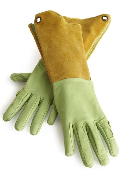 Womens Hands, Leather Gardening Gloves, Garden Gloves, Rose Bushes, Gardening Trends, Gloves Design, Garden Equipment, Gardening Gloves, Garden Club