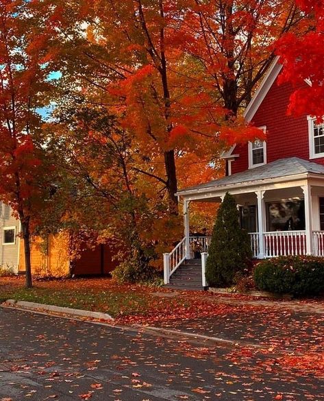 Fall Halloween Aesthetic Photos, Evermore Fall Aesthetic, Autumn House Aesthetic, Fall Aesthetic Vibes, Fall Photos Aesthetic, Red Fall Aesthetic, Autumn Season Aesthetic, Fall Season Aesthetic, Fall Houses