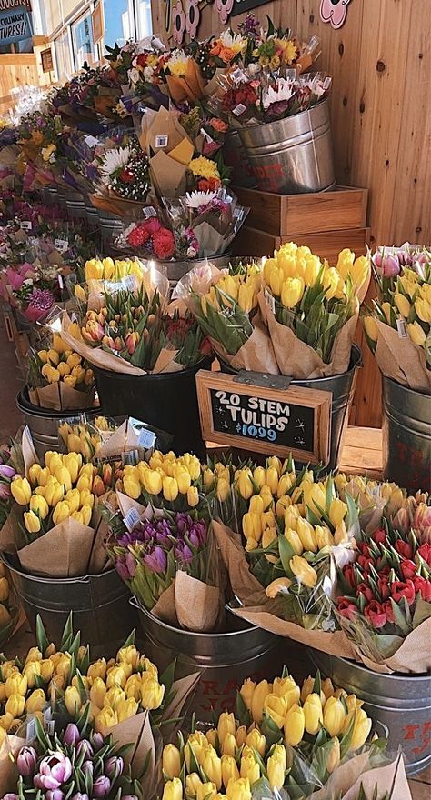 Chynna Core, Trader Joes Photoshoot, Trader Joe Aesthetic, Trader Joe's Aesthetic, Annie James Aesthetic, Trader Joes Flowers Aesthetic, Trader Joe’s Flowers, Trader Joe Flowers, Trader Joes Aesthetic