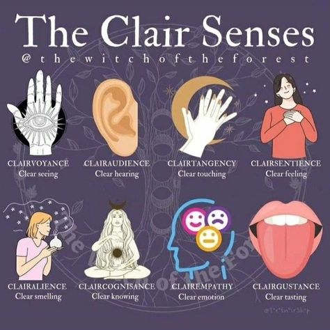 Do you know the clairs? Credit: @thewitchoftheforest 🖤 Hearth Witch, Wicca Recipes, Witch Spirituality, Divine Feminine Spirituality, Spiritual Journals, Wiccan Spell Book, Energy Healing Spirituality, Witchcraft For Beginners, Spiritual Cleansing