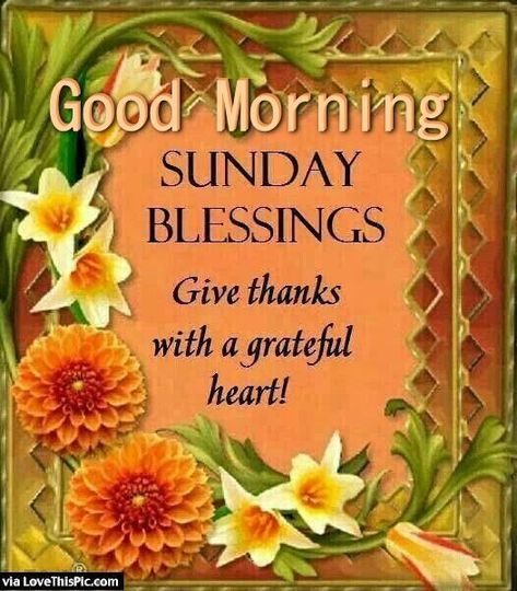 Good Morning Sunday Blessings Give Thanks good morning sunday sunday quotes good morning quotes happy sunday sunday quote happy sunday quotes good morning sunday beautiful sunday quotes sunday quotes for friends and family thankful sunday quotes Thankful Sunday, Good Morning Sunday Blessings, Thanks Pictures, Blessed Sunday Quotes, Good Morning Sunday, Sunday Quotes Funny, Sunday Greetings, Sunday Pictures, Have A Blessed Sunday