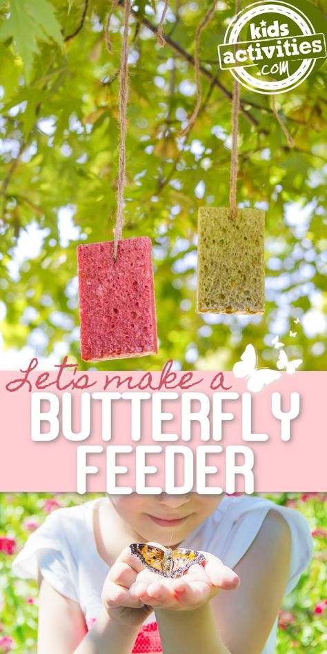 Hummingbird Nectar Recipe, Easy Homemade Snacks, Homemade Snacks Recipes, Butterfly Food, Butterfly Feeders, Butterfly Feeder, Butterfly Garden Plants, Bird Feeder Craft, Easy Butterfly