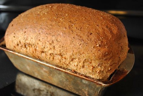 Cracked Wheat Bread Recipe, Sprouted Grain Bread Recipe, Sprouted Wheat Bread, Sprouted Wheat, Fmd Recipes, Sprouted Grain Bread, Sprouted Bread, Spelt Bread, Bread Healthy