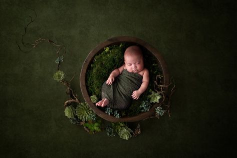 Newborn photography succulents Baby Boy Newborn Pictures, Newborn Digital Backdrop, Teddy Bear Clothes, Baby Boy Photography, Pet Photographer, Photography Contests, Boy Photography, My Favorite Image, Newborn Pictures