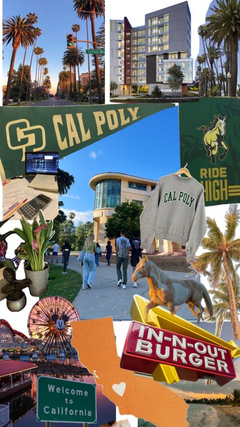 Can I get a sko mustangs Cal Poly Slo, Cal Poly, In-n-out Burger, College Aesthetic, Dream College, Dorm Life, Dream School, College Life, Cali