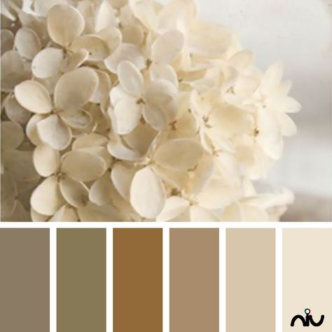 Sand Palette, Coloring Scheme, Interior Paint Schemes, Ivory Palette, Ivory Color Palette, Color Boards, Photography Color, Brand Color Palette, Creme Color