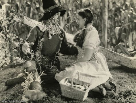 *SCARECROW & DOROTHY ~ The Wizard of OZ, 1939 Morning Funnies, Wizard Of Oz Pictures, Dorothy Shoes, Wizard Of Oz Quotes, Witch Please, The Wonderful Wizard Of Oz, Dump A Day, Brick Road, Friday Humor