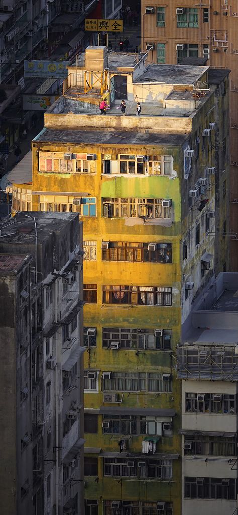 Tall stories: the weird world of Hong Kong's rooftops – in pictures Hong Kong Architecture, Kowloon Walled City, Hong Kong Photography, Factory Architecture, Derelict Buildings, Photographie Portrait Inspiration, Hong Kong Travel, Interesting Buildings, Walled City