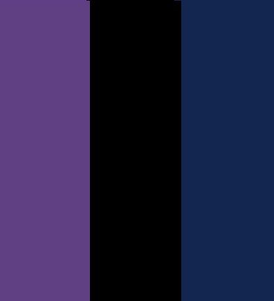 Purple Blue Black Color Palette, Purple And Black Color Palette, Black Hair Blue Eyes, Black Color Palette, Purple Color Palettes, Violet Grey, Blue Black Color, Year 6, Original Characters