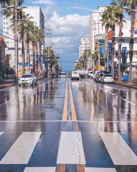 Rain reflections on a road to the sea, Jeju City, Jeju Island, South Korea [1080×1350] : CityPorn Jeju Island Photography, Korean Road, Korean City, Jeju City, Jeju Island South Korea, Living In Korea, City Island, Buildings Photography, City Planning